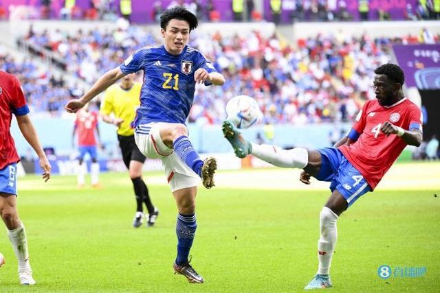 种程度上也 种程度上也